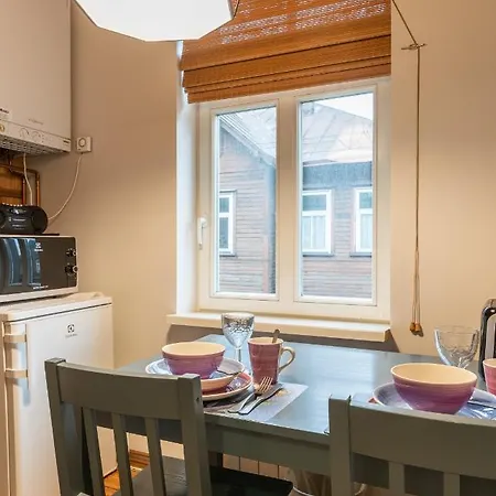 T9 Studio 250 M From Old Town * Таллин